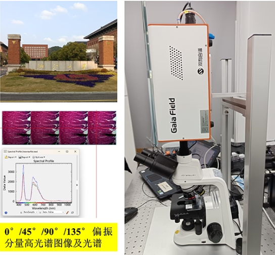 浙江大学显微偏振高光谱成像系统项目验收