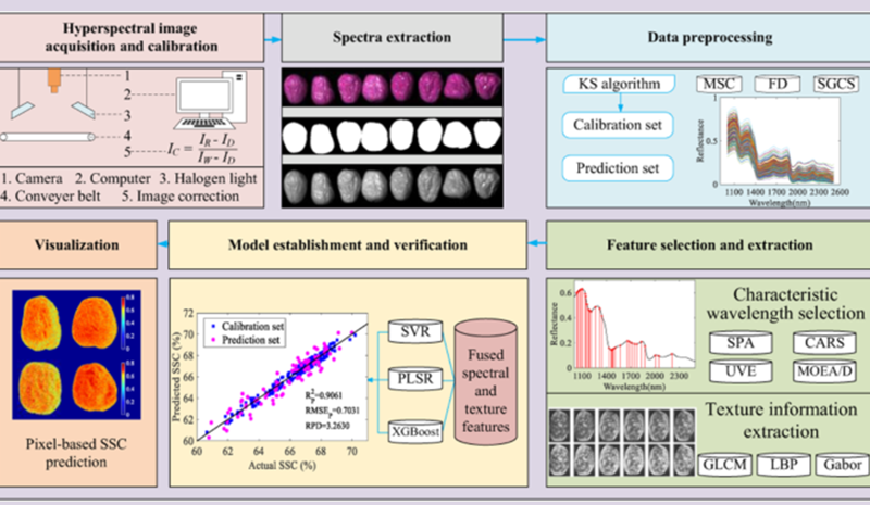 高光谱成像技术在红枣研究中的应用进展（下）