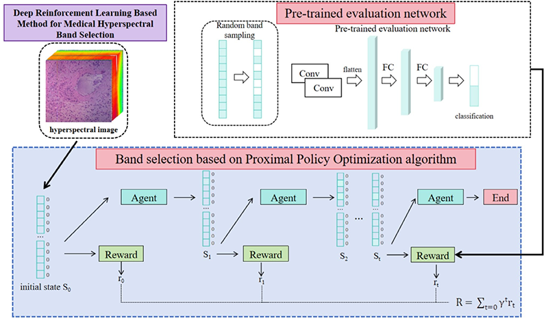 高光谱成像在肝细胞癌和肝内胆管细胞癌诊断中的应用